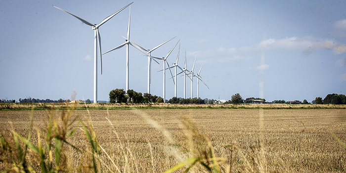 Rødby Fjord wind turbines (Photo: Ingrid Riis)