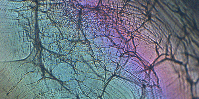 Xanthan gummi chitosan nanofibre. Foto: DTU Fødevareinstituttet