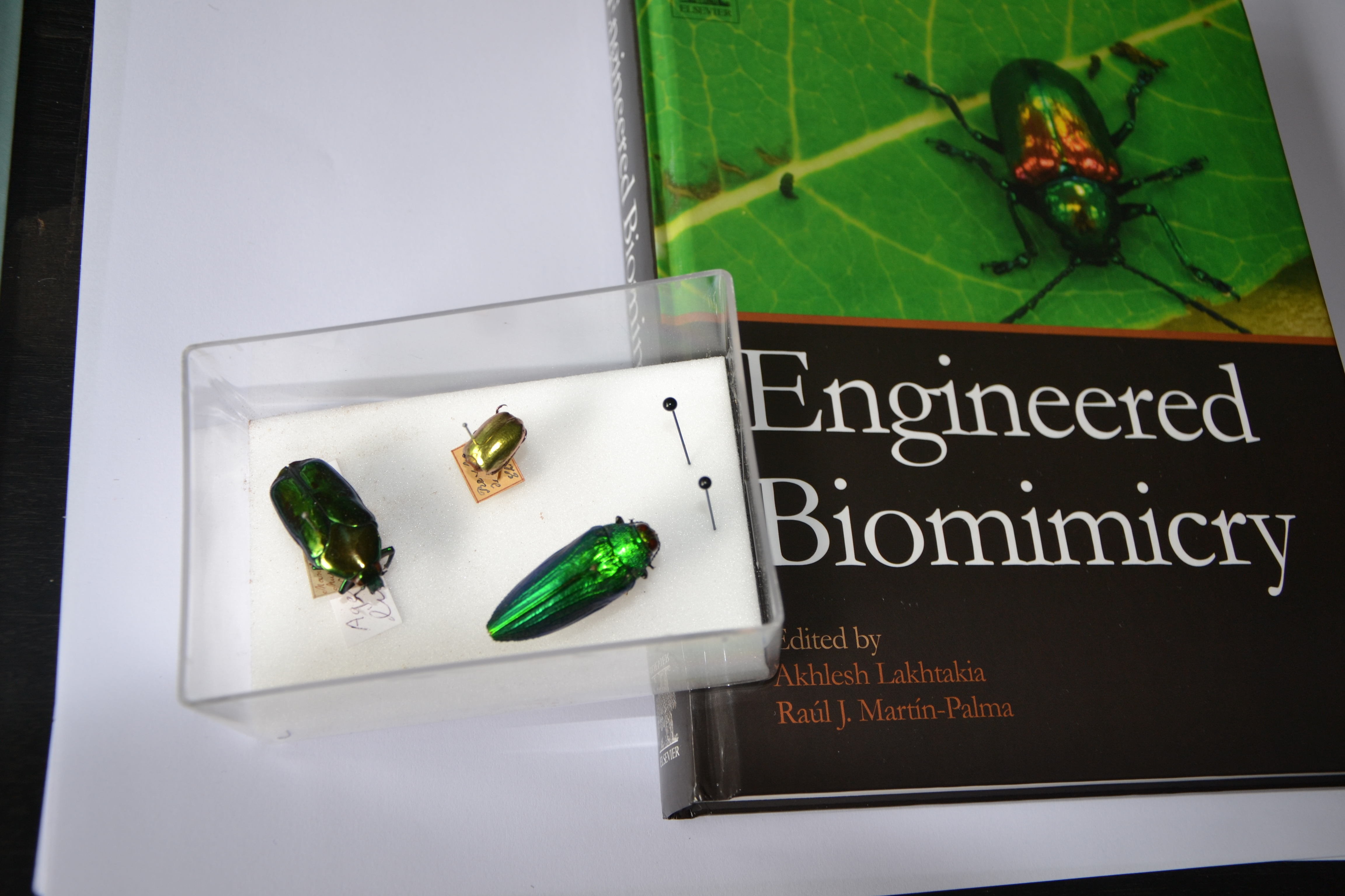 Engineered Biomimicry